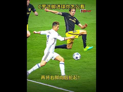张艺谋助力,巴黎奥运中,国代表团领,香港赛马会,赛程安排,赛果查询,马匹资料,比赛分析